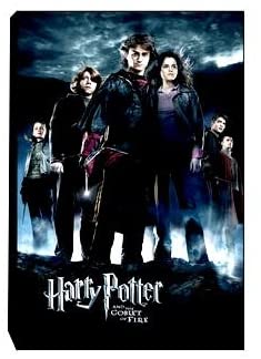 Harry Potter > Goblet Of Fire Canvas Art - figurineforall.com