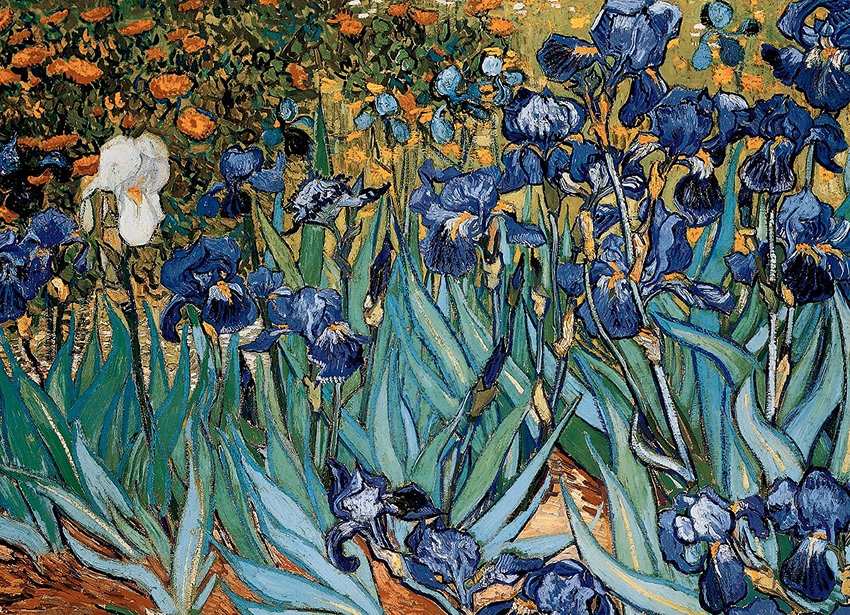 Puzzle 1000 Pieces - Vincent Van Gogh (Irises) Jigsaw Puzzle 6000-4364