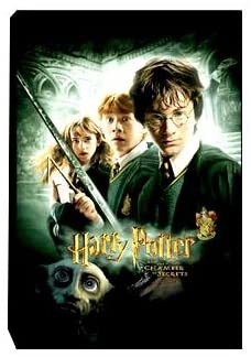 Harry Potter &gt; Chamber Of Secrets Canvas Art - figurineforall.com