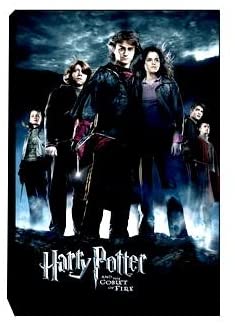 Harry Potter &gt; Goblet Of Fire Canvas Art - figurineforall.ca