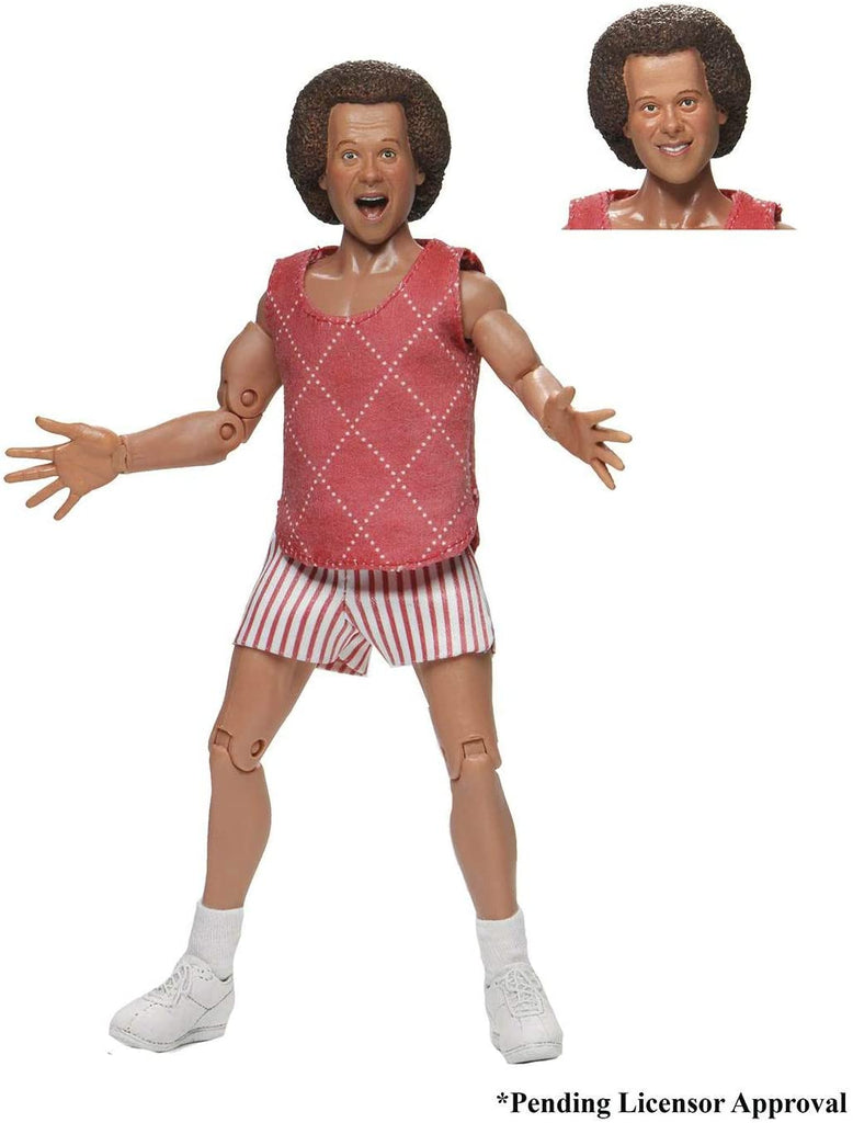 Richard Simmons Clothed Action Figure - figurineforall.ca