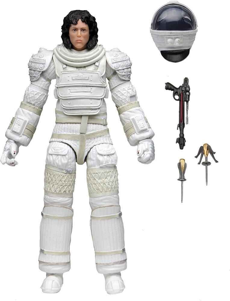 Previous Next